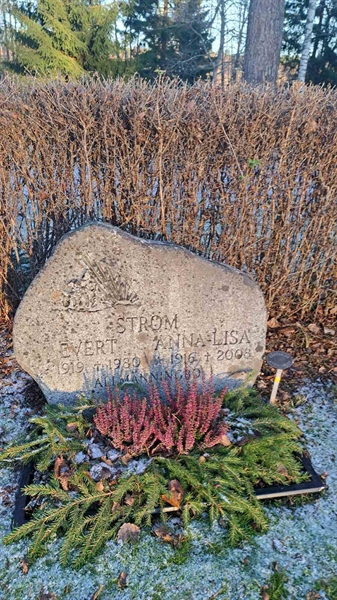 Grave number: 6 05    195, 196