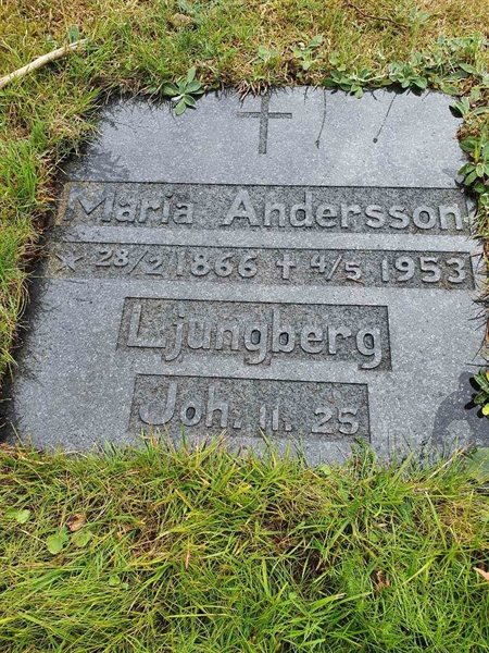 Grave number: Å A    19