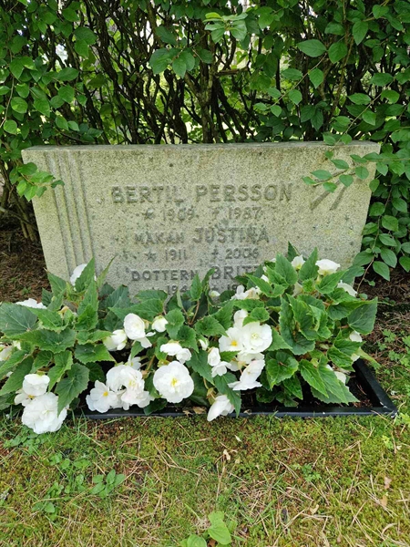 Grave number: 1 KV.4   222-224