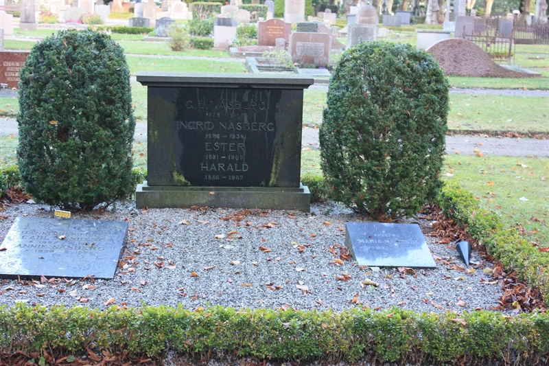 Grave number: Ö 05y     7, 8