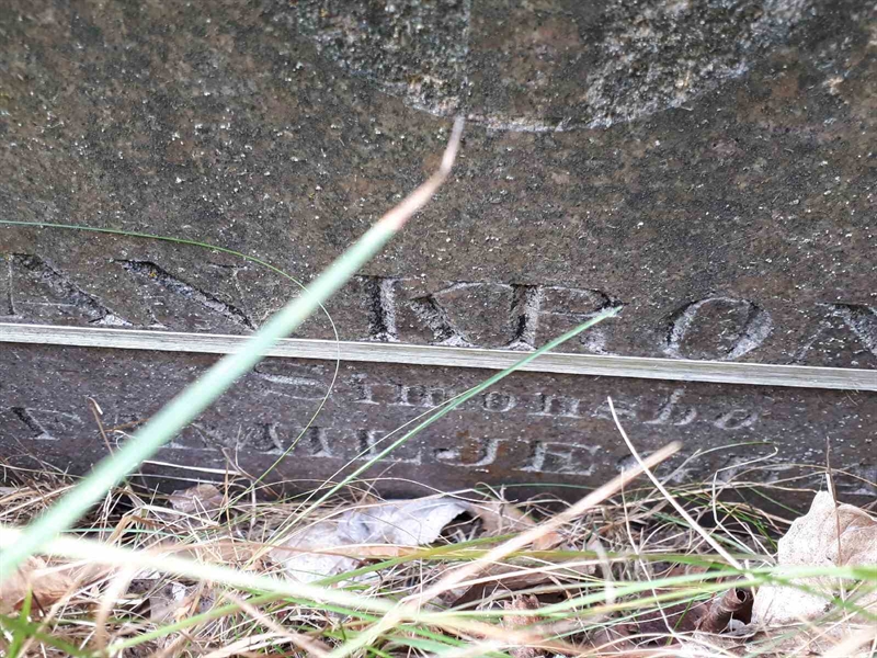 Gravnummer: GK F 5   533