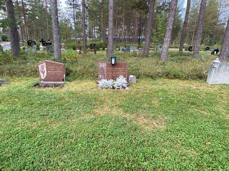 Grave number: 3 15    66