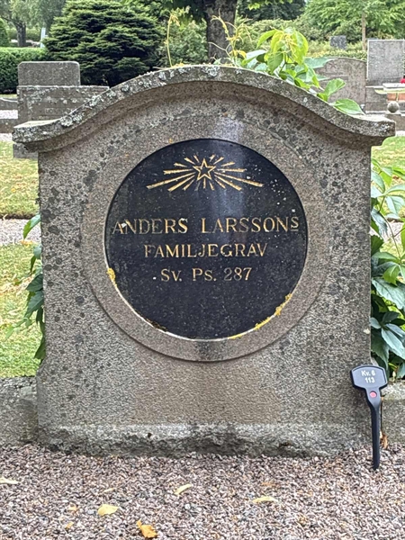 Grave number: 33 6   113