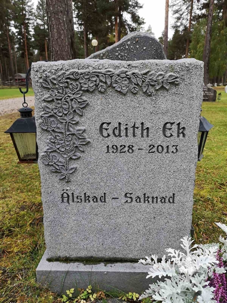 Hautatunnus: VLM 12    51