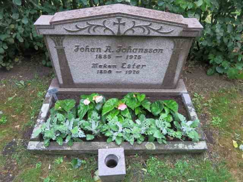 Grave number: TN H   127-128