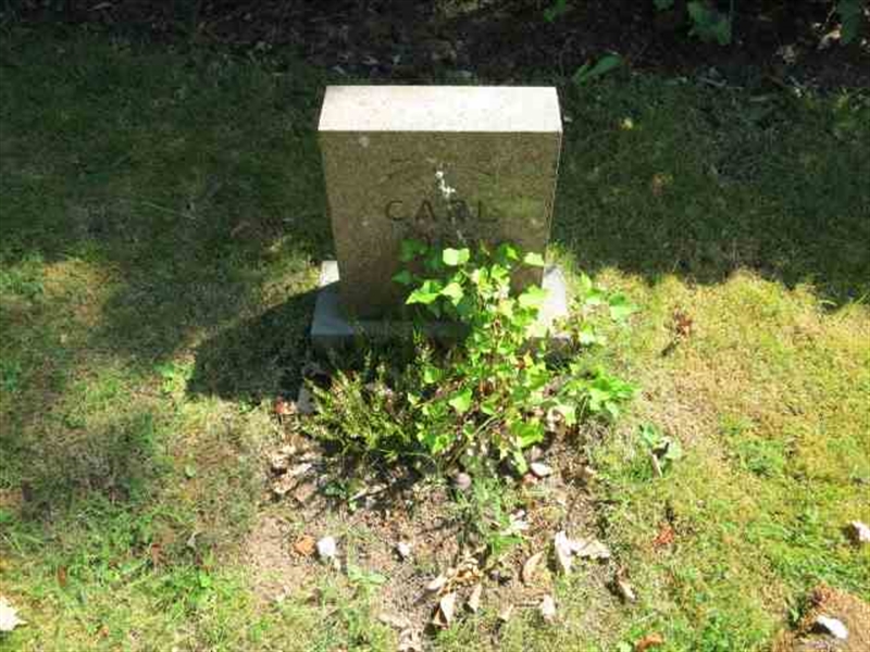 Grave number: TN 1   403