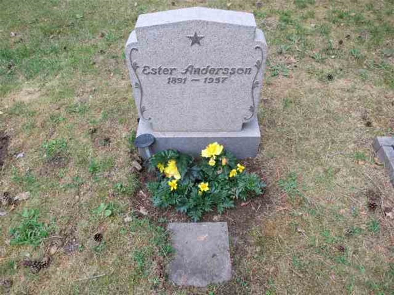 Grave number: TN N   178