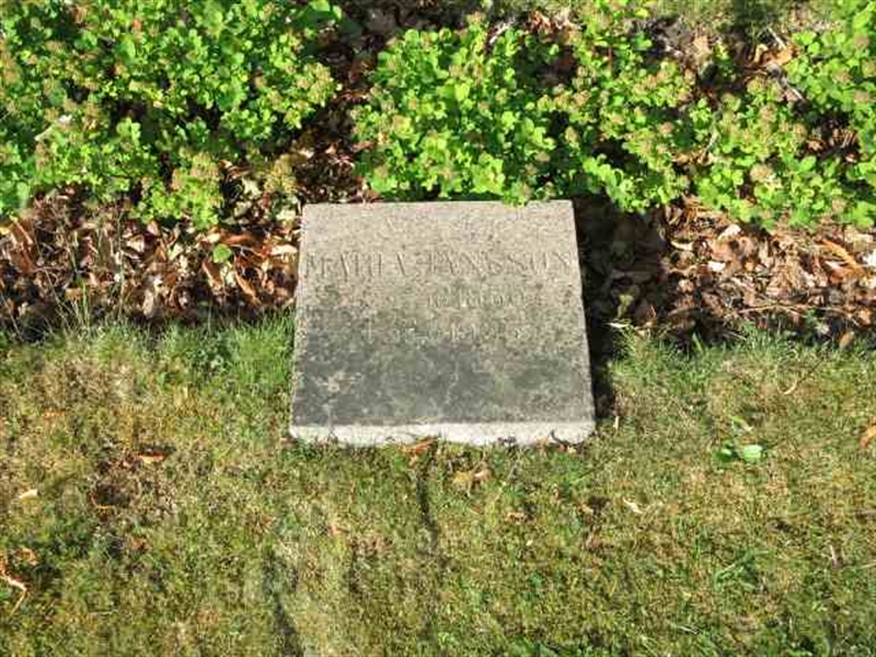 Grave number: TN 2   367