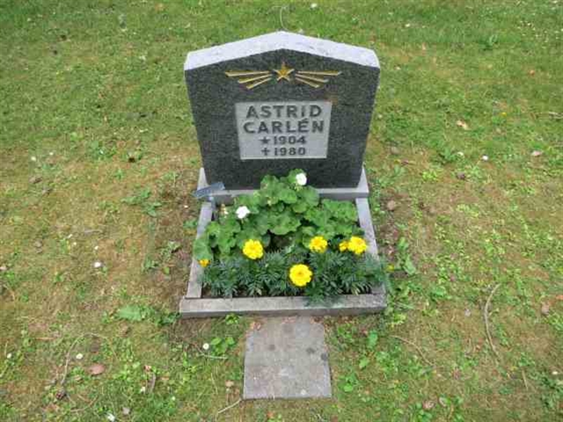 Grave number: TN P   130B