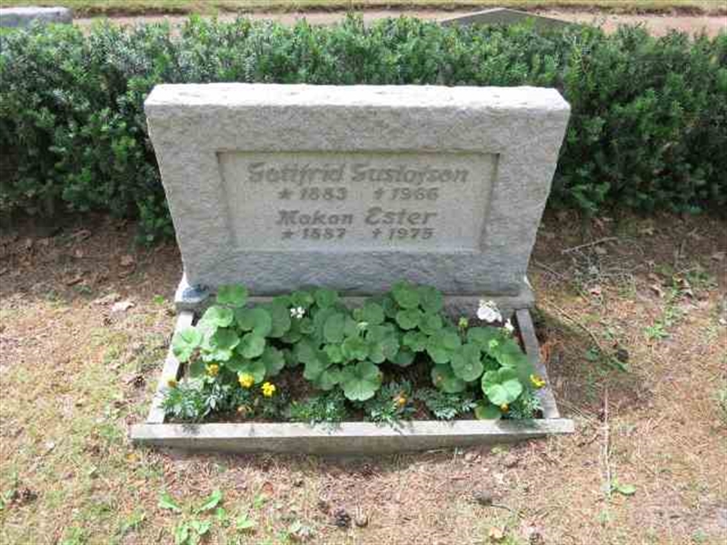 Grave number: TN S    43-44