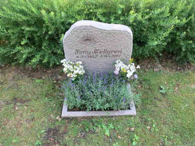 Grave number: TN V   157-158