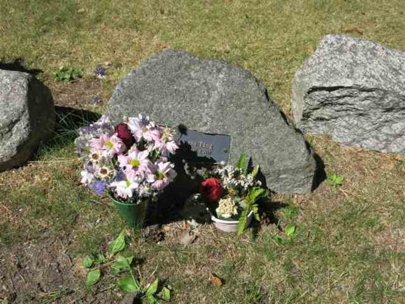 Grave number: RN AL    13