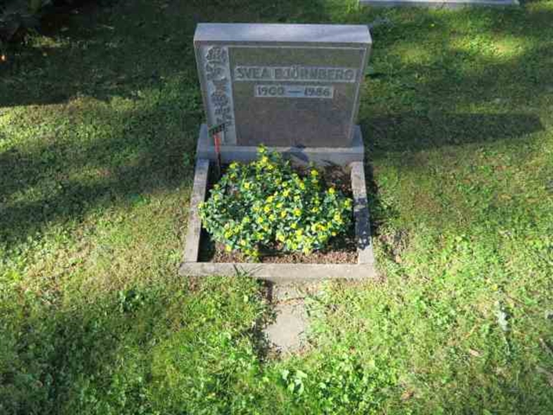 Grave number: TN U   352