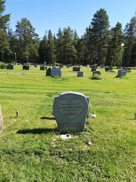 Hautatunnus: PK   483