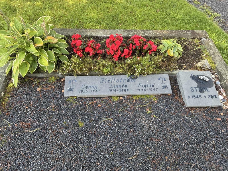 Grave number: 2 06   154