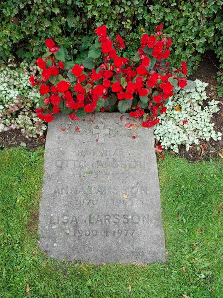 Hautatunnus: 1 D   124