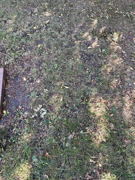 Grave number: NK X:u    47