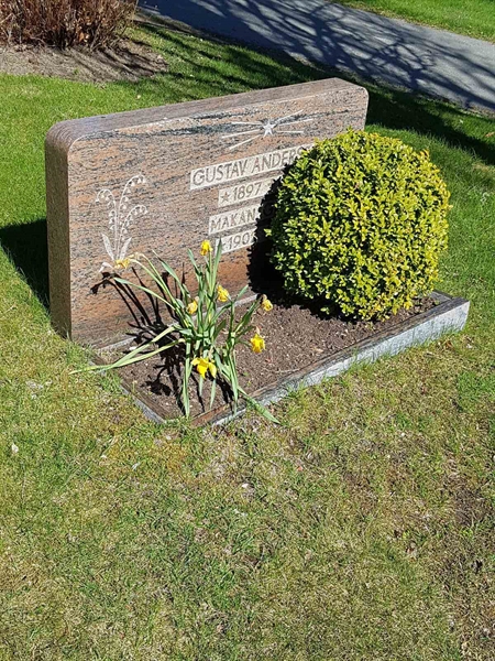 Grave number: 01  3646