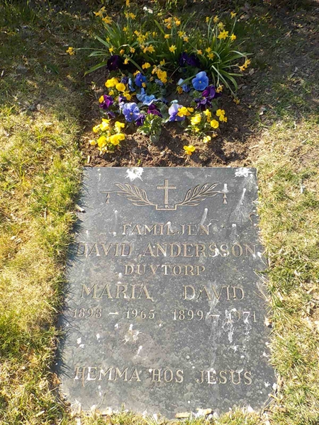 Grave number: 2 4   411-412