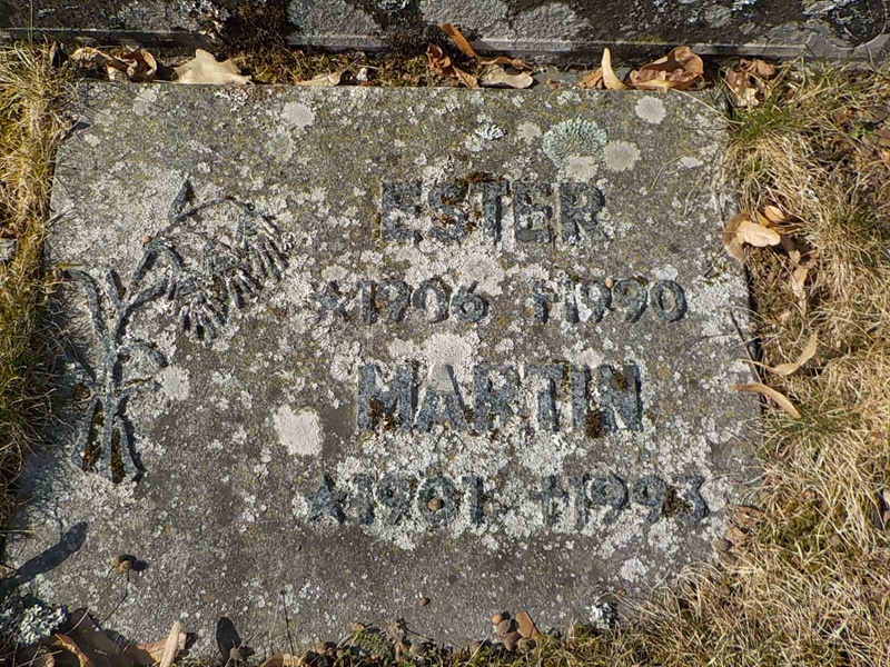 Grave number: 2 2   245-246