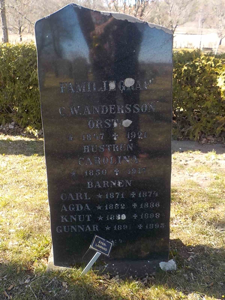 Grave number: 2 4   111-113