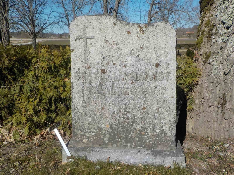 Grave number: 2 4    19-20
