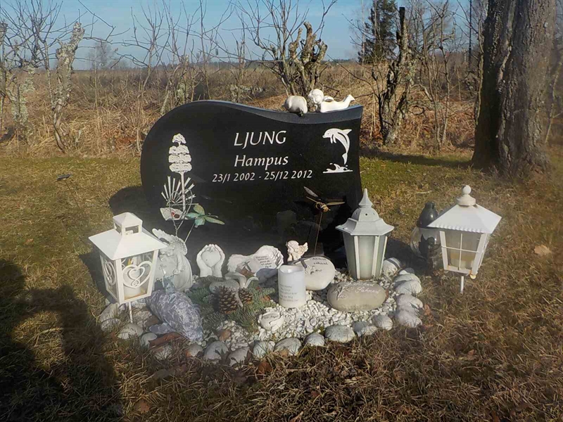 Grave number: 2 1     8