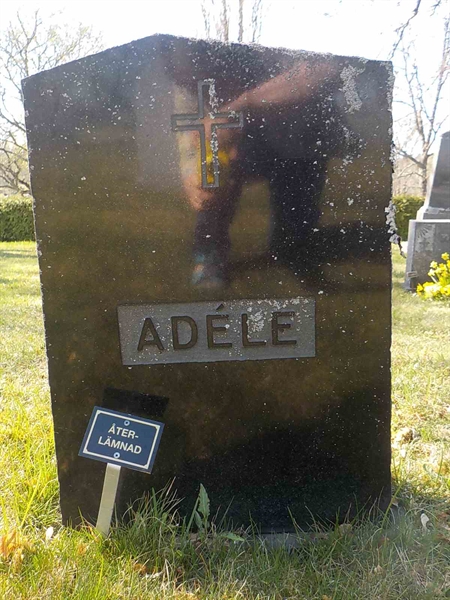 Grave number: 2 4   311-312