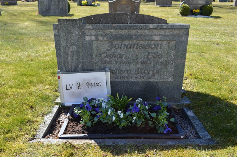 Grave number: LV H    99, 100