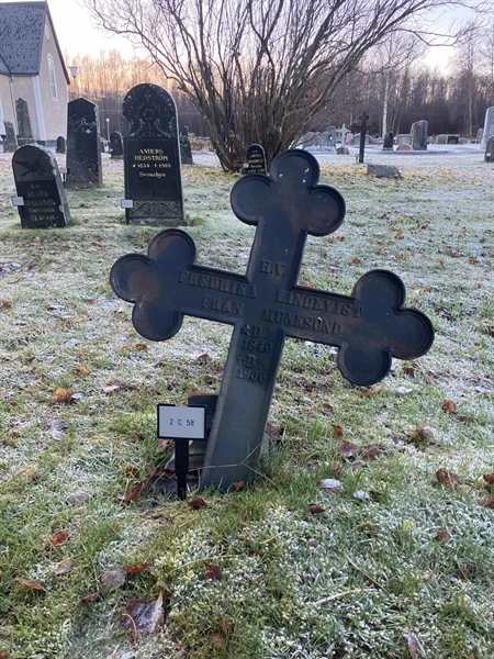 Hautatunnus: 2 C    58