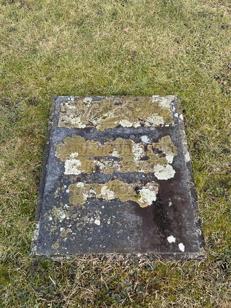 Hautatunnus: HA C    92