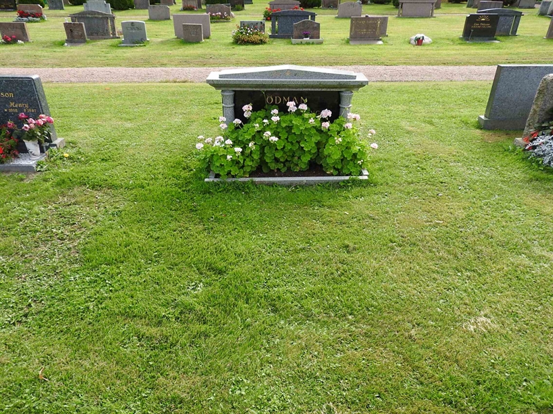 Hautatunnus: BRO 13    31