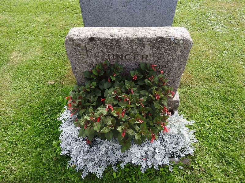 Hautatunnus: BRO 13    32