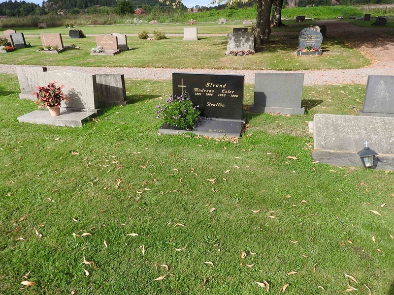 Gravnummer: BRO 13    38a