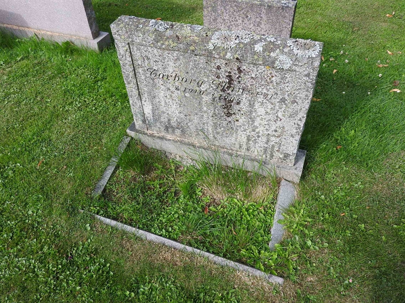 Hautatunnus: BRO 13    43