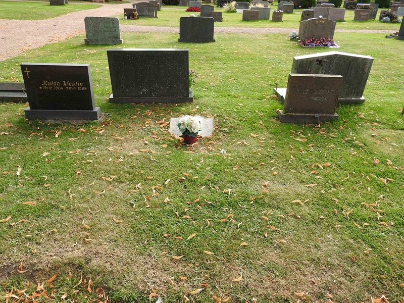 Hautatunnus: BRO 13    57