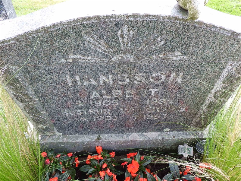 Hautatunnus: BRO 13    64