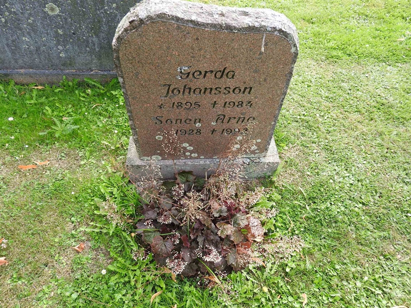 Hautatunnus: BRO 13    62