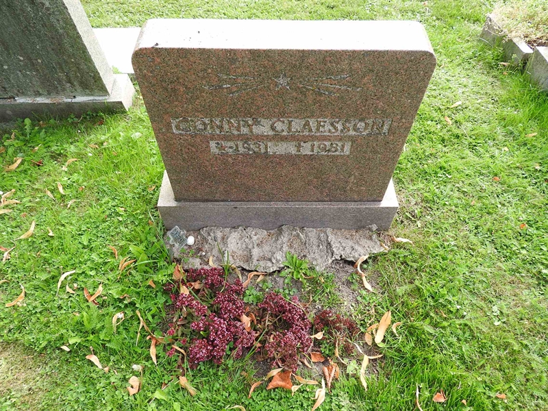 Hautatunnus: BRO 13    59