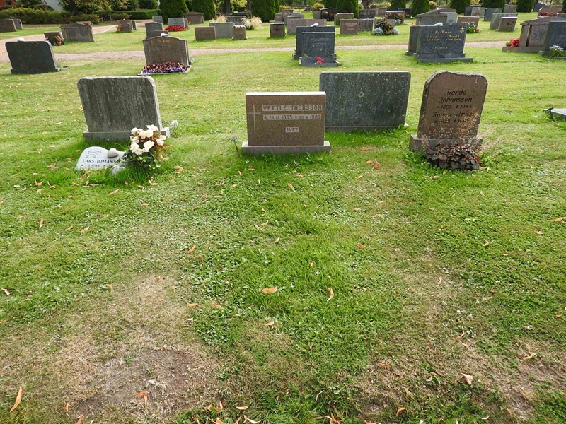 Hautatunnus: BRO 13    61