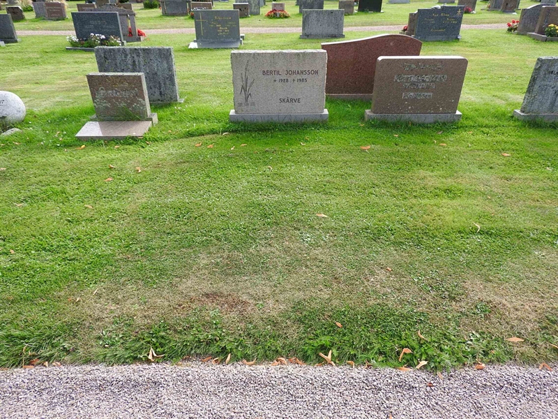 Hautatunnus: BRO 13    68