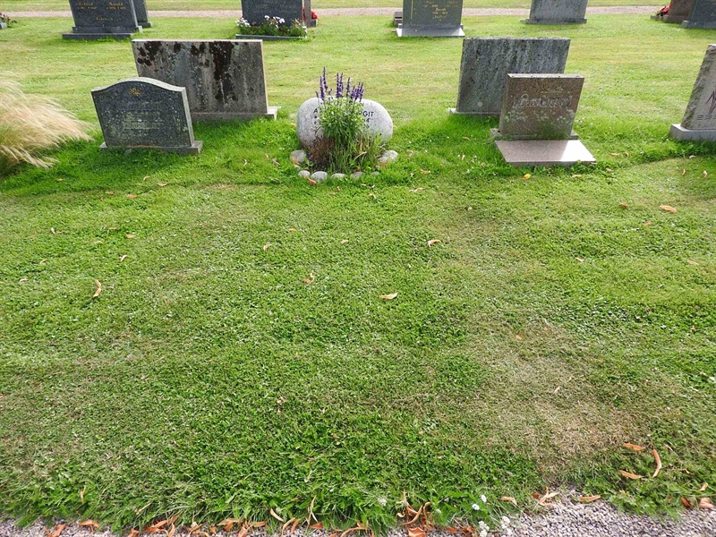 Hautatunnus: BRO 13    66