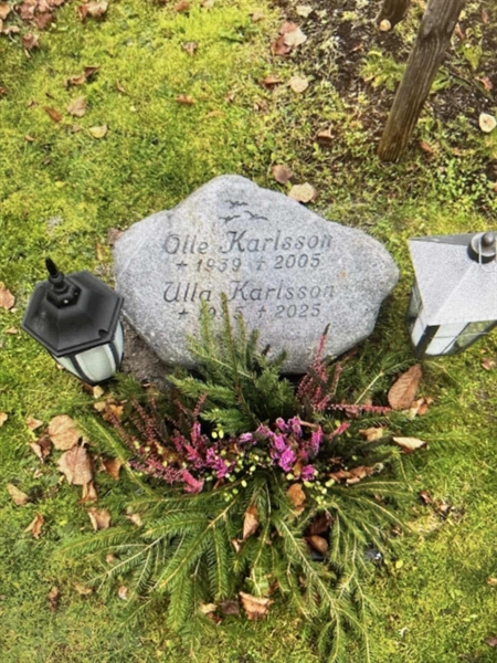 Hautatunnus: 2 NY 04   124