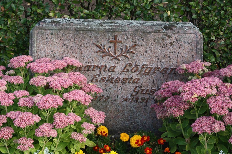 Grave number: 1 K N   29