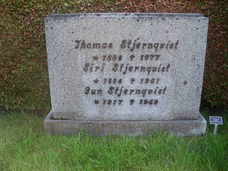 Grave number: HÖB 49    21
