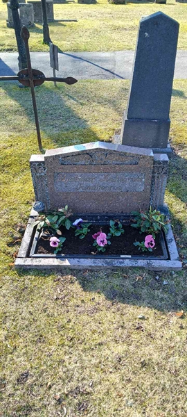 Grave number: 3 Nya F    48-49