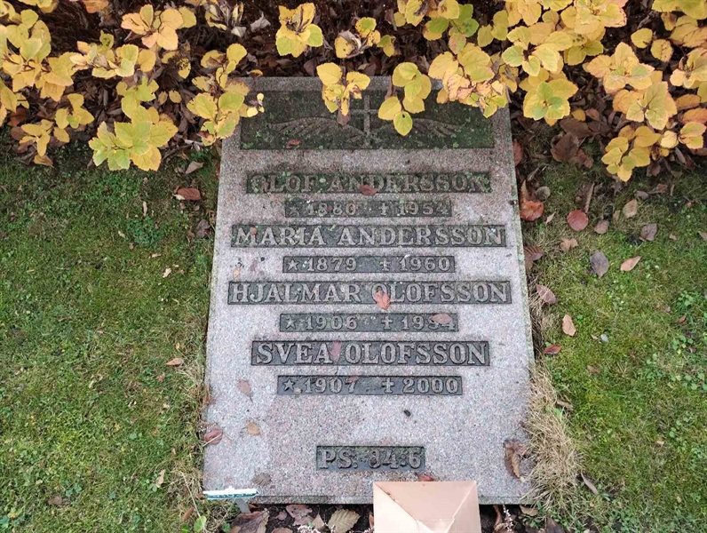 Grave number: Ö 31i    11, 12