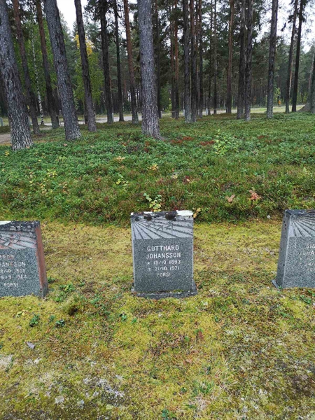 Hautatunnus: VLM 10     4:1