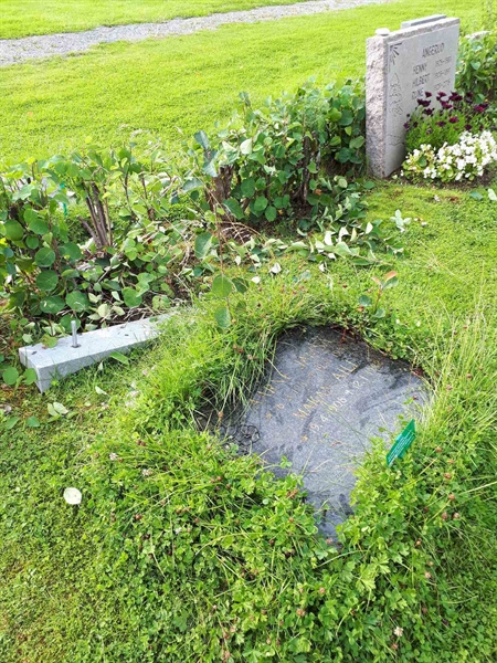 Hautatunnus: NK F C    61-62