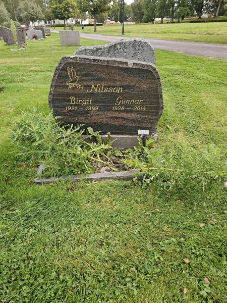 Grave number: Fr 8   230-231